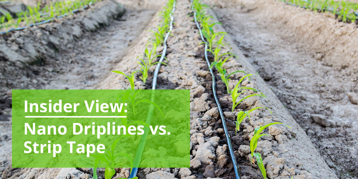 Nano Driplines vs. Strip Tape in Drip Irrigation Implementation
